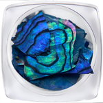 Ракушка для ногтей