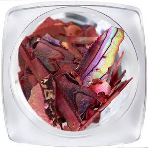 Декор для ногтей ART "Ракушка" №002, Цвет: 002