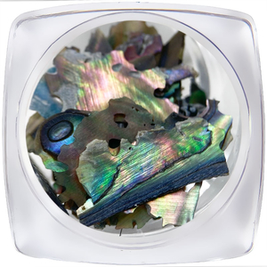 Декор для ногтей ART "Ракушка" №003, Цвет: 003