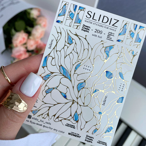 Слайдер-дизайн SLIDIZ 200