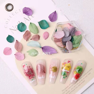 Разноцветные маленькие цветы (сухоцветы) для дизайна ногтей в контейнере №2, Цвет: №2