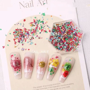 Разноцветные маленькие цветы (сухоцветы) для дизайна ногтей в контейнере №1, Цвет: №1