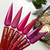 DNKa Cover Base №0003 Passionate, 12 мл, Цвет: 34