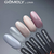 Гель-лак GÉMELY ex GA&MA Cat Color 002/Кет Колор 002 6 мл, Цвет: 0022