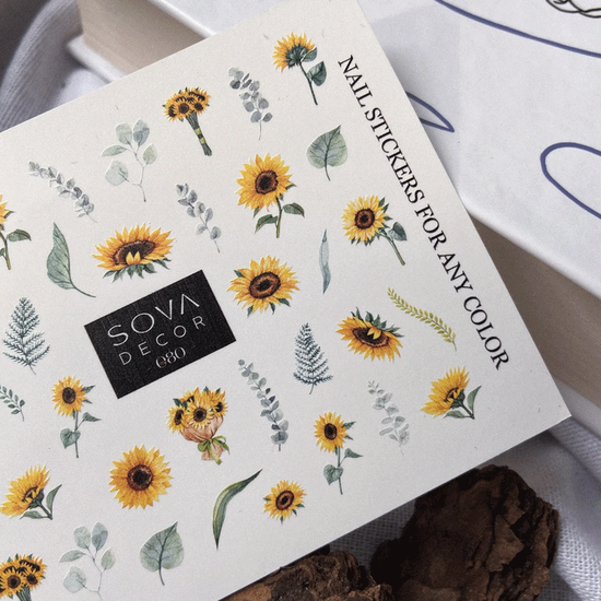 Слайдер-дизайн SOVA C0802