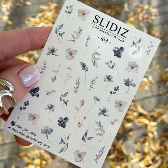 Слайдер-дизайн SLIDIZ 1033