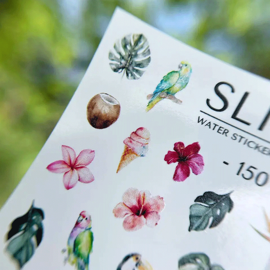 Слайдер-дизайн SLIDIZ 1504