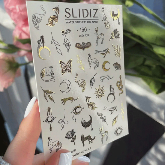 Слайдер-дизайн SLIDIZ 1602