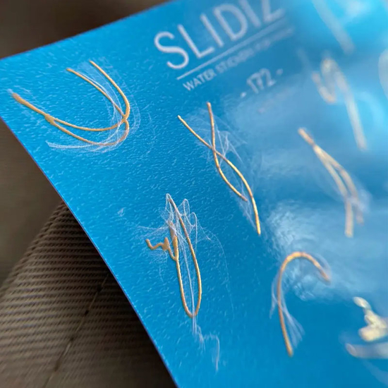 Слайдер-дизайн SLIDIZ 1722