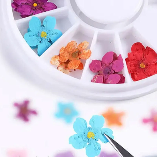 Набор сухоцветов для дизайна и декора ногтей в карусели 24 шт2