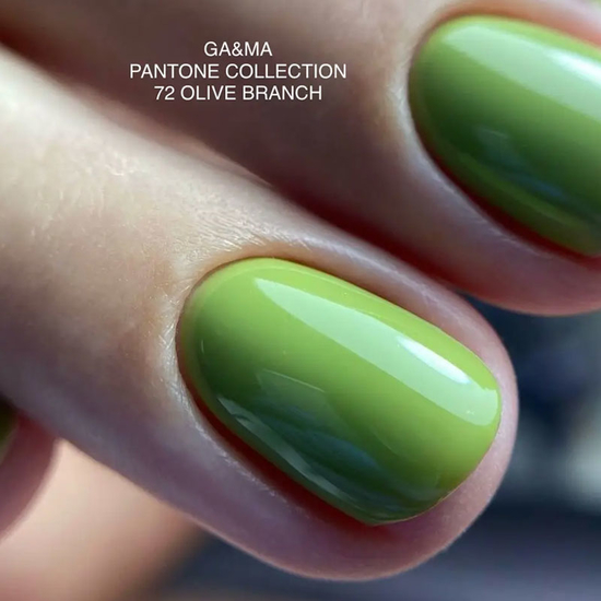 Гель-лак GaMa Gel Polish Pantone Сollection №072 Olive Branch 10 мл, Объем: 10 мл
, Цвет: 0724