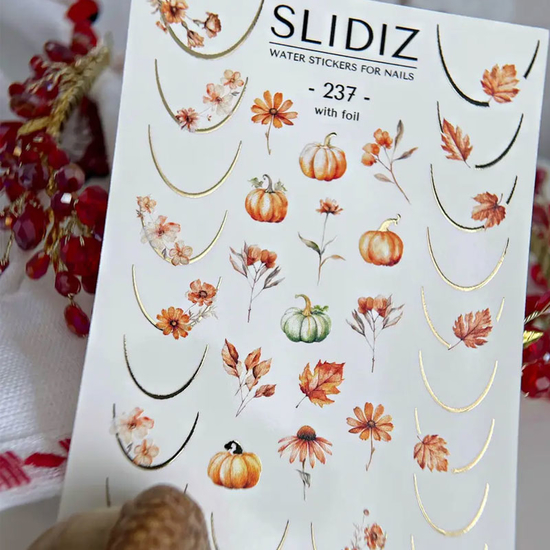 Слайдер-дизайн SLIDIZ 237