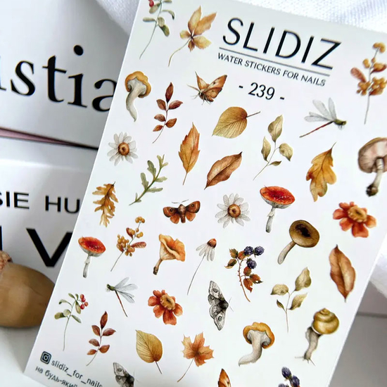 Слайдер-дизайн SLIDIZ 239