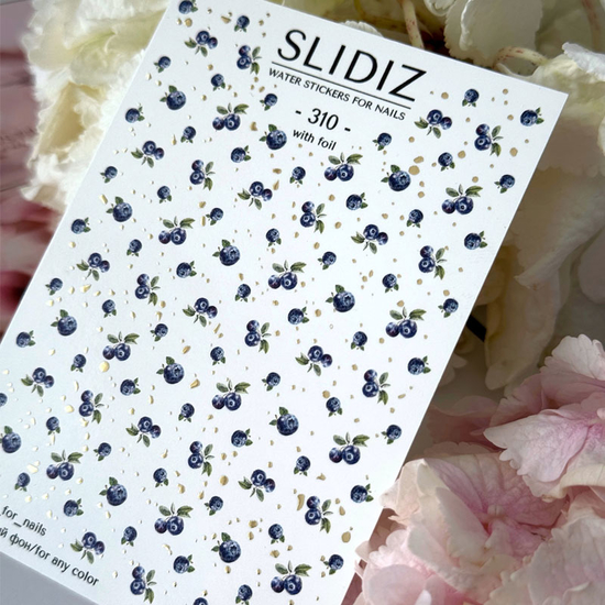 Слайдер-дизайн SLIDIZ 310