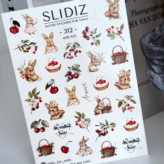 Слайдер-дизайн SLIDIZ 312